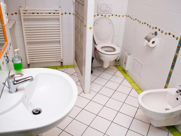 Pension SKLEP : photo 8 de la chambre studio