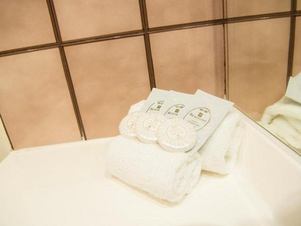 Garden City Motor Inn : photo 2 de la chambre chambre lit queen-size