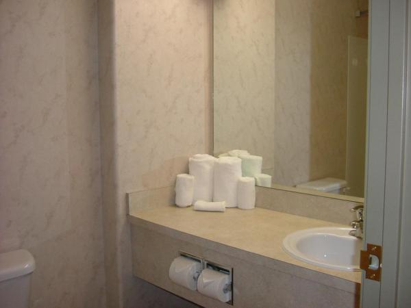 Days Inn by Wyndham Red Deer : photo 2 de la chambre chambre lit queen-size pour personnes à mobilité réduite - non-fumeurs 