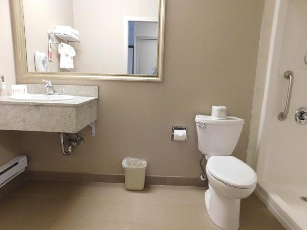 Ramada by Wyndham Kamloops : photo 4 de la chambre chambre lit queen-size accessible aux personnes à mobilité réduite – non-fumeurs