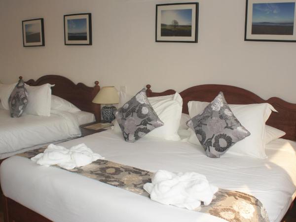 Heeren Straits Hotel : photo 3 de la chambre chambre super deluxe