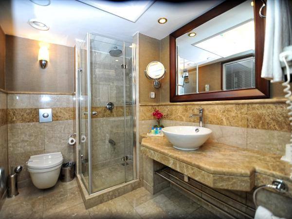 CK Farabi Hotel : photo 3 de la chambre chambre simple