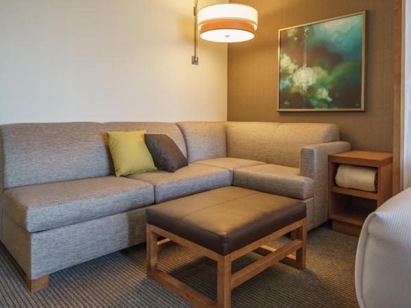 Hyatt Place Houston Galleria : photo 4 de la chambre chambre lit king-size avec canapé-lit - Étage supérieur