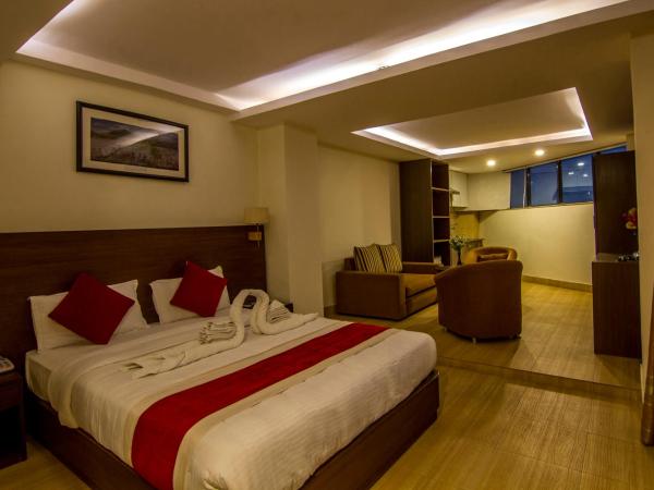 Hotel Regal Airport : photo 5 de la chambre chambre double deluxe