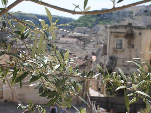 Antico Convicino Rooms Suites & SPA : photo 3 de la chambre suite avec terrasse 