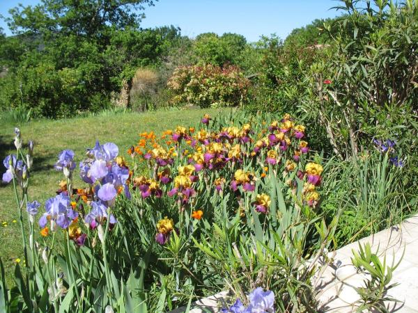 B&B La Cigaline : photo 5 de la chambre chambre double - vue sur jardin