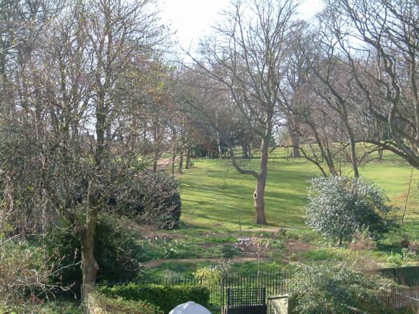 Terrace hotel : photo 2 de la chambre chambre double Économique