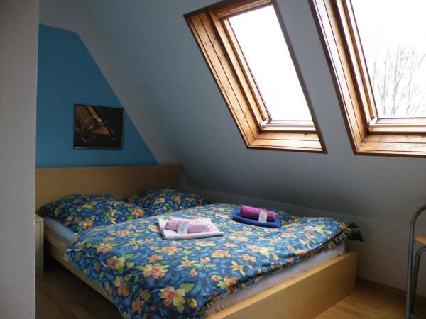 Penzion U Štoly Jáchymov : photo 8 de la chambre appartement