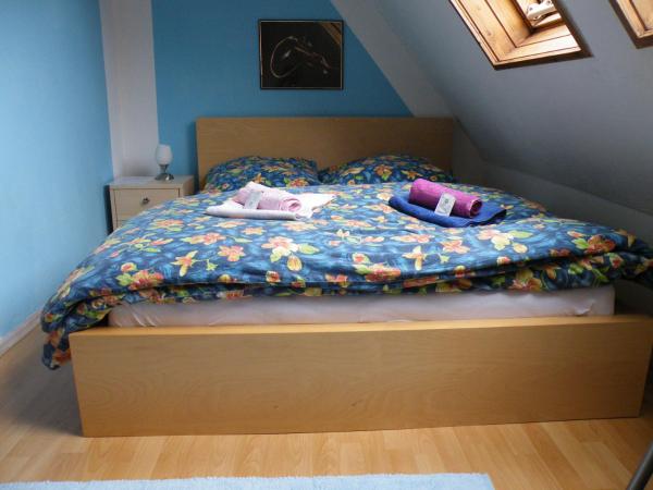 Penzion U Štoly Jáchymov : photo 7 de la chambre appartement