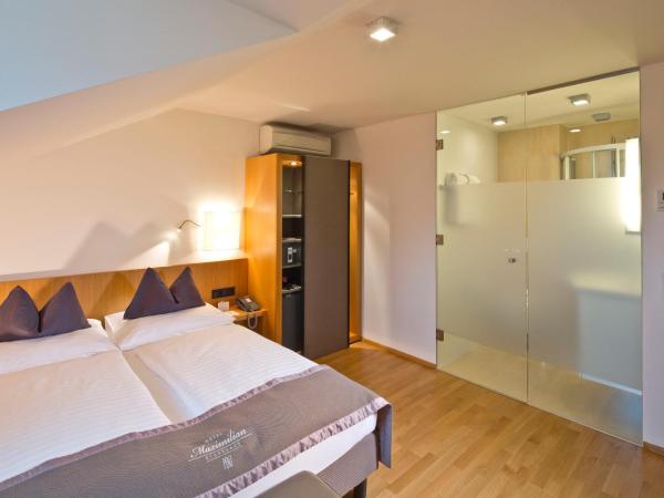 Hotel Maximilian - Stadthaus Penz : photo 3 de la chambre chambre mansardée avec climatisation