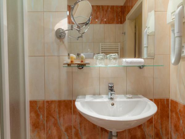 Ensana Centrální Lázně - Maria Spa : photo 4 de la chambre single room with garden view and wellness and fitness access