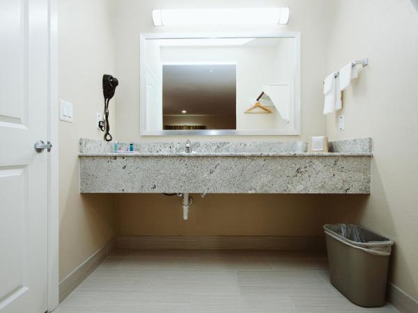 Palace Inn Houston Northwest 290 : photo 7 de la chambre chambre lit king-size - non-fumeurs