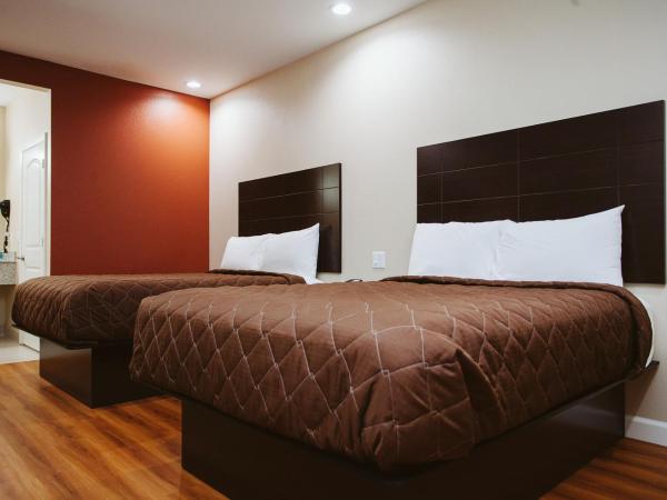 Palace Inn Houston Northwest 290 : photo 4 de la chambre chambre avec 2 grands lits queen-size