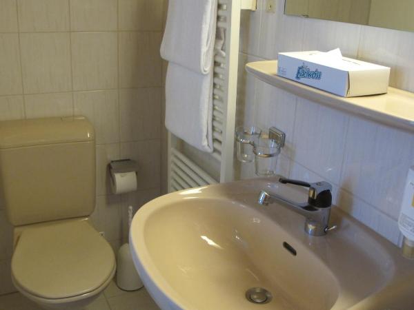 Hotel Alpina Luzern : photo 1 de la chambre chambre simple