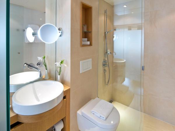 Hotel Maximilian - Stadthaus Penz : photo 3 de la chambre chambre double ou lits jumeaux climatisée