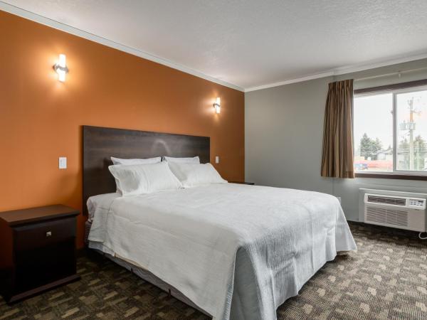 Airport Traveller's Inn : photo 4 de la chambre suite exécutive