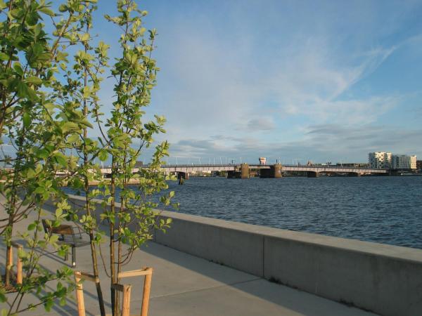 Aalborg City Rooms ApS : photo 3 de la chambre chambre simple avec toilettes et douche communes
