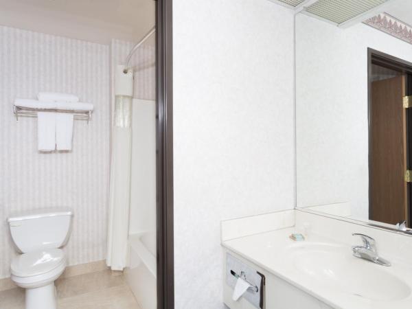 Days Inn by Wyndham Phoenix West : photo 3 de la chambre chambre lit king-size pour personnes à mobilité réduite - non-fumeurs