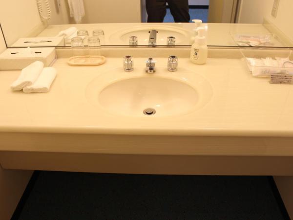 Kobe Portopia Hotel : photo 10 de la chambre chambre lit queen-size deluxe avec balcon - aile sud - non-fumeurs