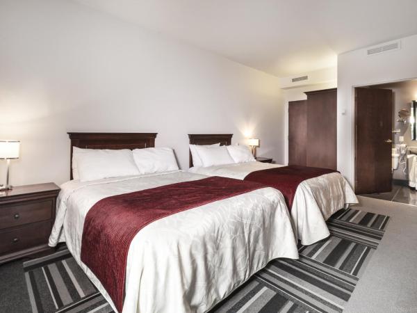 Hotel Le Saint-Paul : photo 5 de la chambre chambre double supérieure avec deux lits doubles