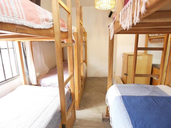 Tupiniquim Hostel Rio de Janeiro : photo 3 de la chambre lit dans dortoir mixte de 6 lits