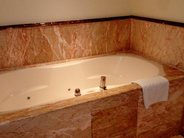 Taj Krishna : photo 7 de la chambre chambre taj club avec lit king-size - vue sur ville