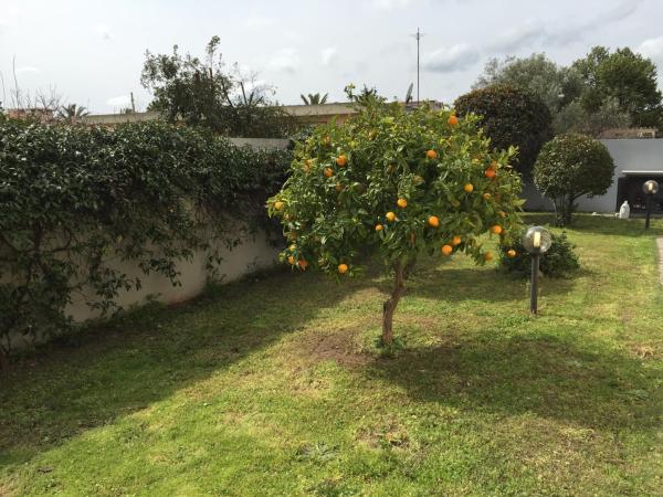 Residence Olbia : photo 6 de la chambre appartement 1 chambre