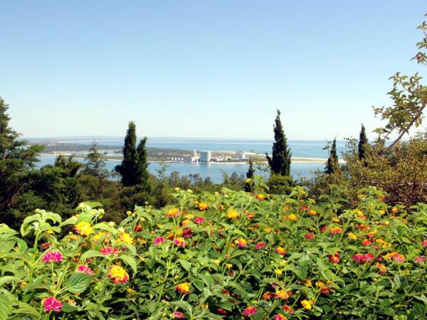 Ha Mar ao Luar : photo 10 de la chambre suite