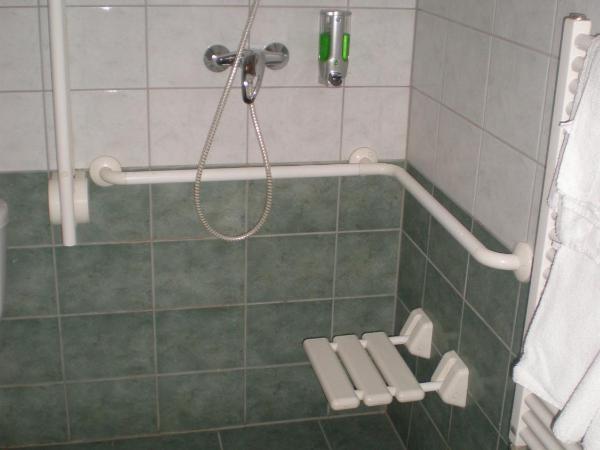 Hotel Veritas : photo 3 de la chambre chambre simple - accessible aux personnes à mobilité réduite