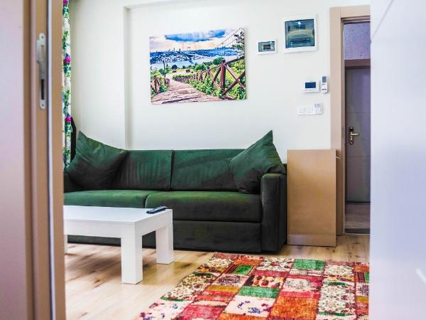 Ale Apartments Hotel : photo 2 de la chambre appartement 1 chambre