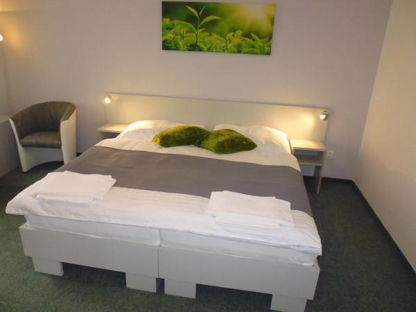 Pension Kamenný Dvůr : photo 5 de la chambre chambre double ou lits jumeaux de luxe