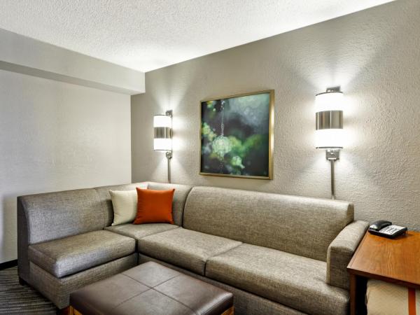 Hyatt Place Las Vegas : photo 10 de la chambre chambre lit king-size avec baignoire accessible aux personnes à mobilité réduite