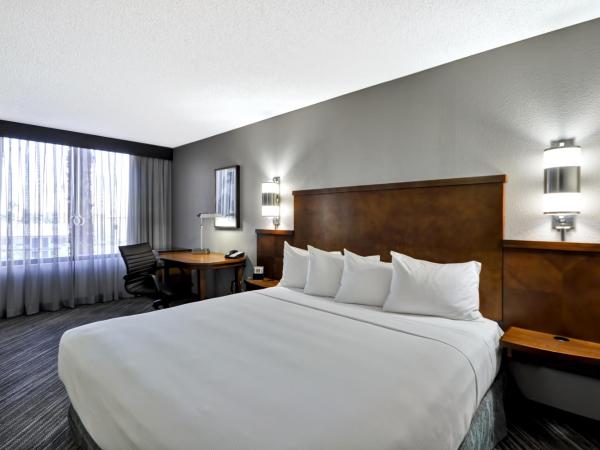 Hyatt Place Las Vegas : photo 10 de la chambre chambre lit king-size avec canapé-lit