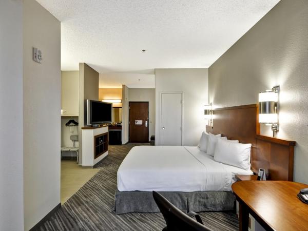 Hyatt Place Las Vegas : photo 8 de la chambre chambre lit king-size avec douche accessible en fauteuil roulant - adaptée aux personnes à mobilité réduite