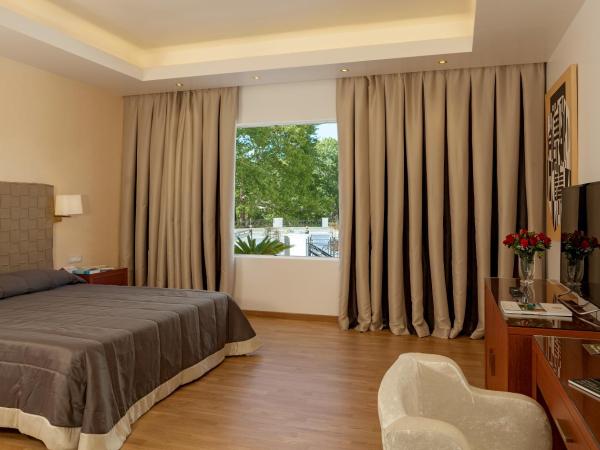 Theoxenia Residence : photo 2 de la chambre grande suite