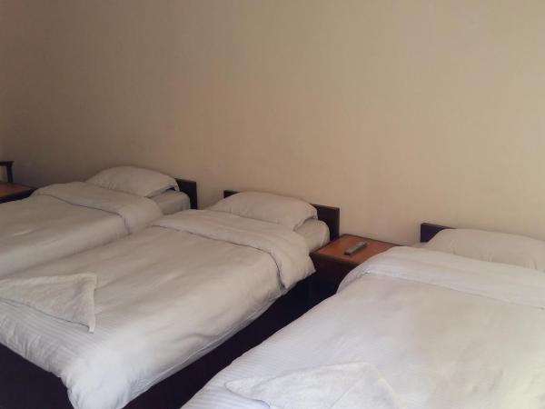 Kathmandu Madhuban Guest House : photo 1 de la chambre chambre triple standard