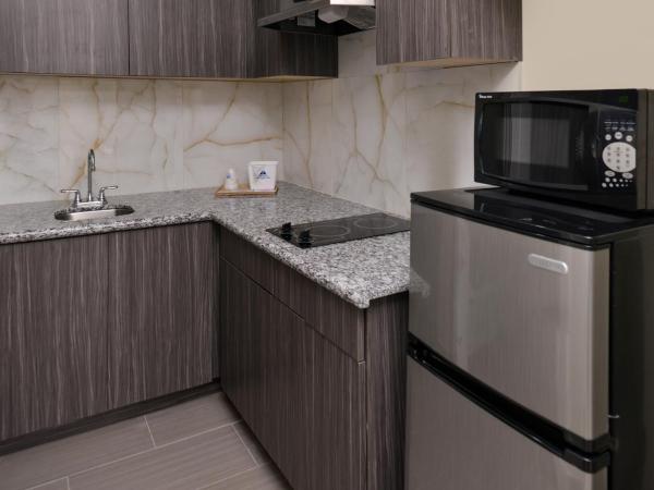 Americas Best Value Inn & Suites - Houston/Hwy 6 & Westpark : photo 3 de la chambre suite lit king-size