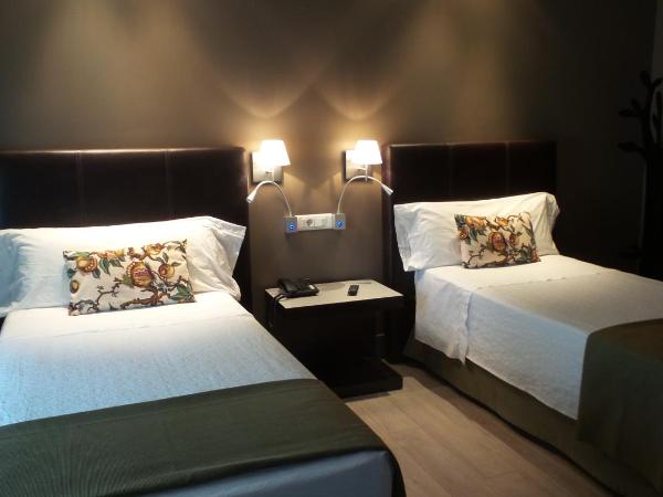 Hotel Moderno Puerta del Sol : photo 3 de la chambre chambre double ou lits jumeaux avec terrasse