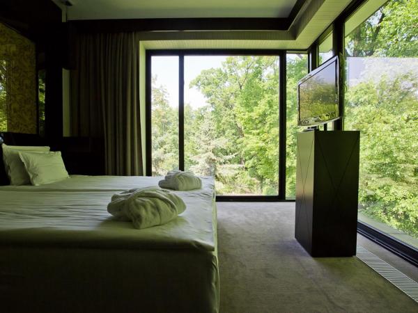 Platinum Palace Boutique Hotel & SPA : photo 4 de la chambre suite lit king-size