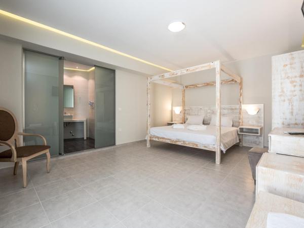 Artemis Hotel Apartments : photo 2 de la chambre studio