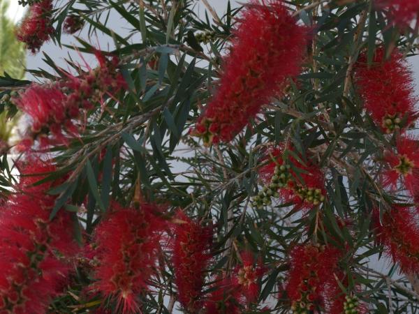Atrium Villa : photo 9 de la chambre suite supérieure 