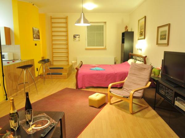 Penzion Libertas Mariánské Lázně : photo 10 de la chambre suite junior avec terrasse