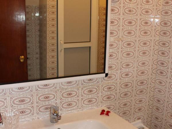 Hotel Sindibad : photo 2 de la chambre chambre double - vue sur jardin