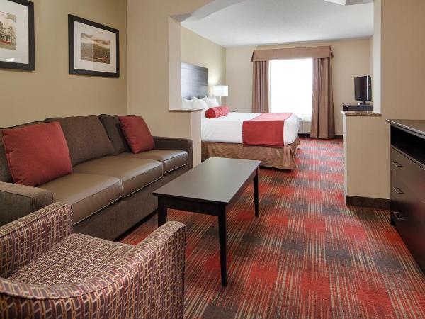 Best Western Plus Red Deer Inn & Suite : photo 5 de la chambre chambre lit king-size avec canapé-lit