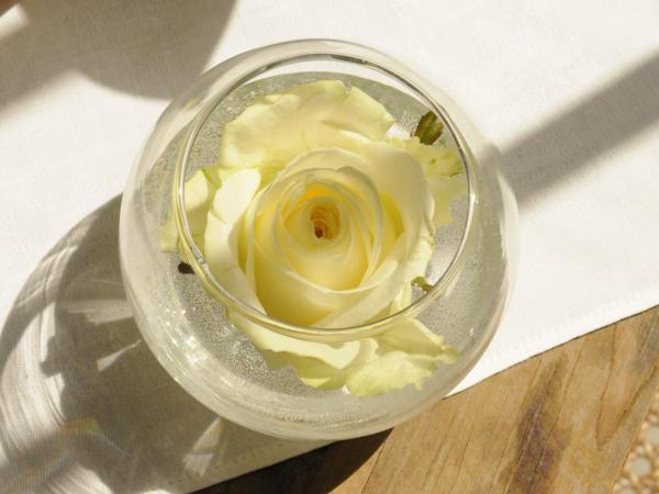 B&B Fine Fleur : photo 2 de la chambre  standaard triple room annex met terras