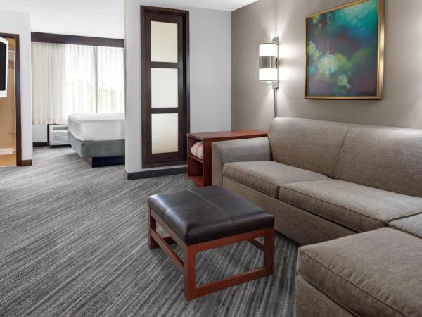 Hyatt Place Charlotte Airport Billy Graham Parkway : photo 10 de la chambre chambre lit king-size avec canapé-lit et douche accessible en fauteuil roulant - accessible aux personnes à mobilité réduite