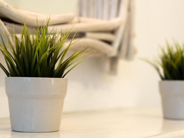 Dream Island Hotel : photo 2 de la chambre chambre quadruple avec terrasse commune