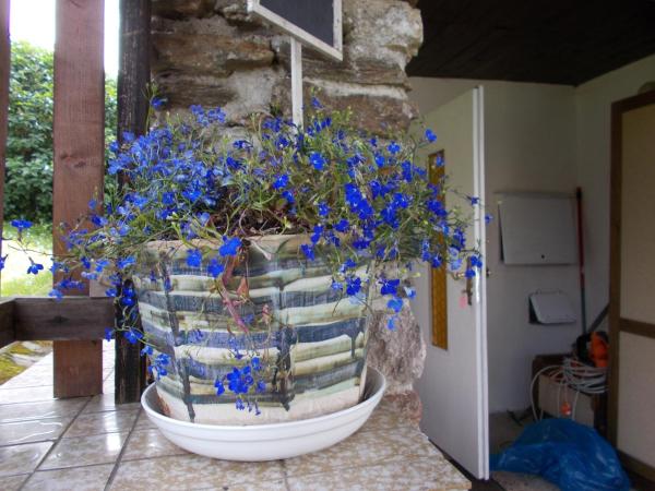 Villa Meteor : photo 6 de la chambre chambre double