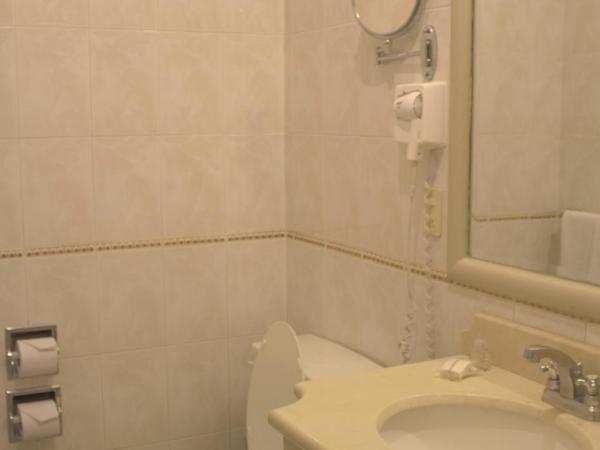 Hotel & Suites Quinta Magna : photo 2 de la chambre standard