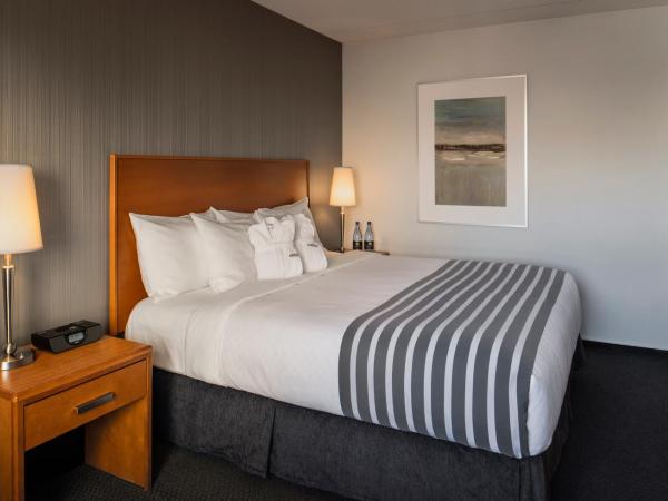 Norwood Hotel : photo 3 de la chambre chambre lit king-size deluxe